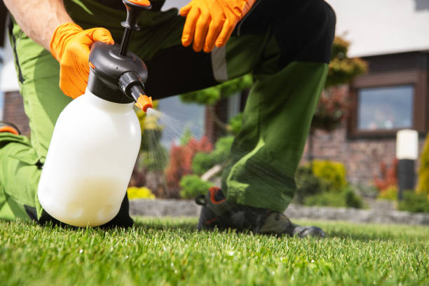 Best Pest Control for Homes  in Roswell, NM