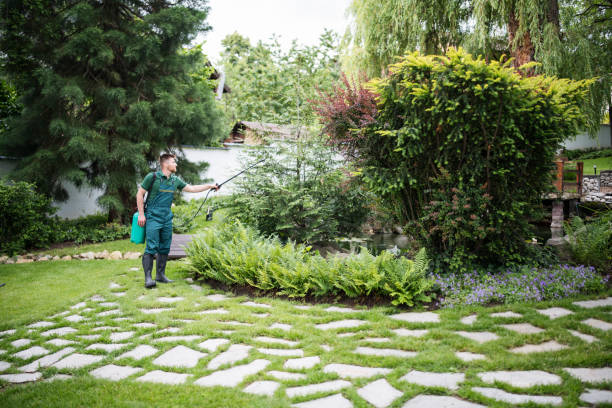 Best Affordable Pest Control Services  in Roswell, NM