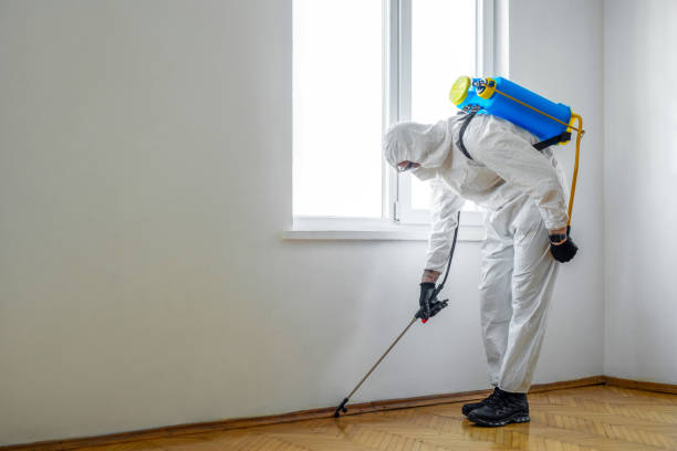Best Best Pest Control Companies  in Roswell, NM