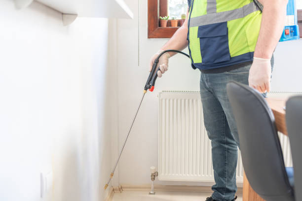 Best Flea Control Services  in Roswell, NM