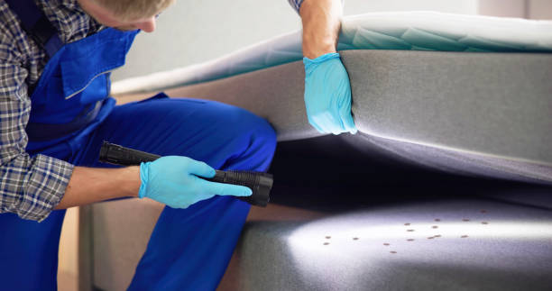 Best Pest Removal Services  in Roswell, NM