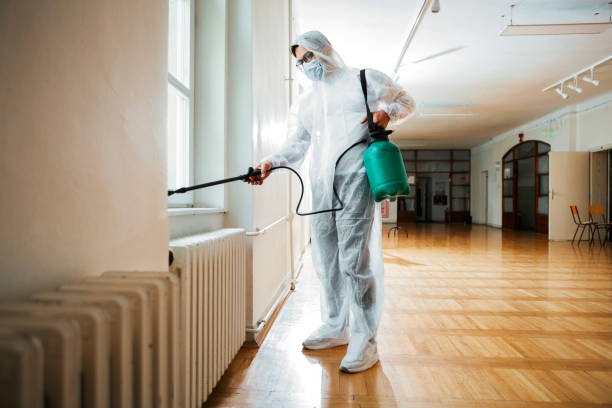 Professional Pest Control in Roswell, NM