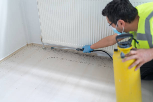 Best Pest Inspection Near Me  in Roswell, NM